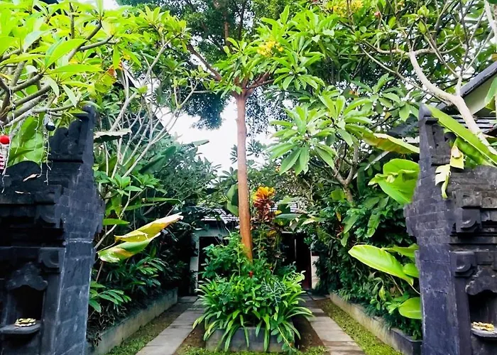Frangipani Kuning At Berawa Canggu (Bali)